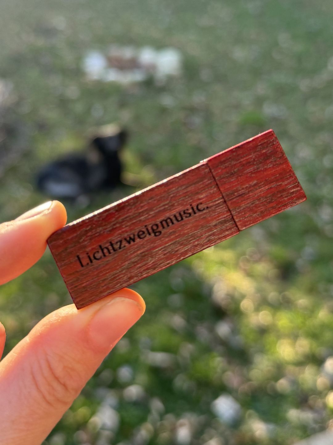 Lichtzweig Music – USB Stick (Limited Edition) + Download LINK
